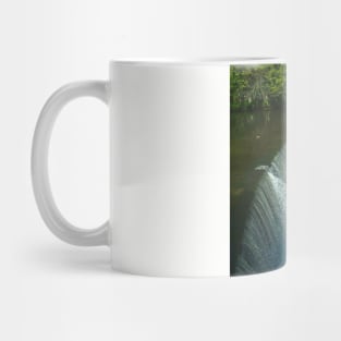 River Almond Weir Mug